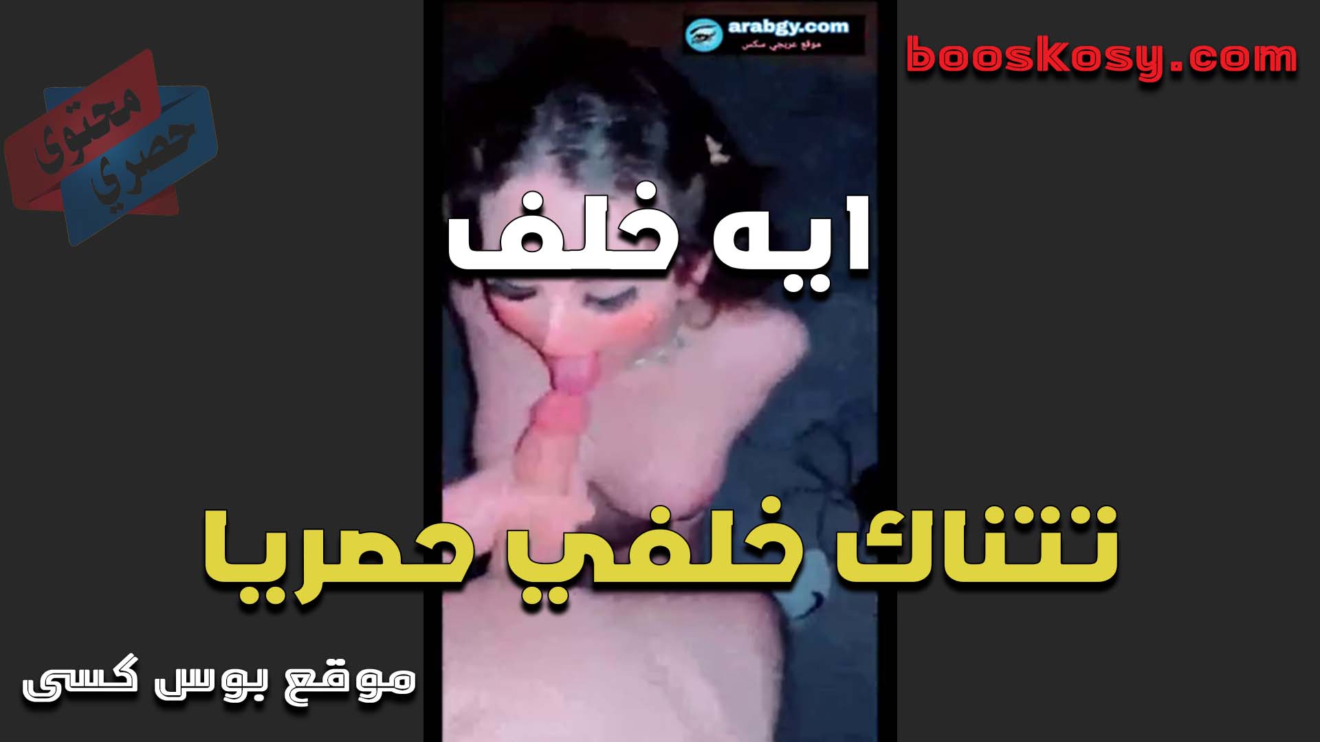 الهيوجه ايه خلف تتناك خلفي وتنزل مص على الزب قبل ما تدخله في خرم طيزها المولعه