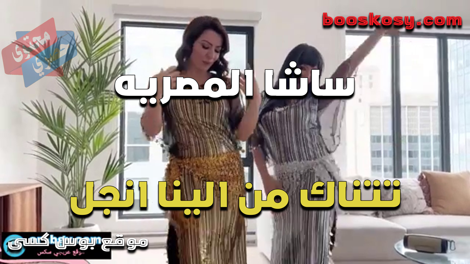شاسا المصريه ترقص ولابسه بدله رقص شفافه على جسمها وتتناك من الشرموطه الينا وتفشخ كسها