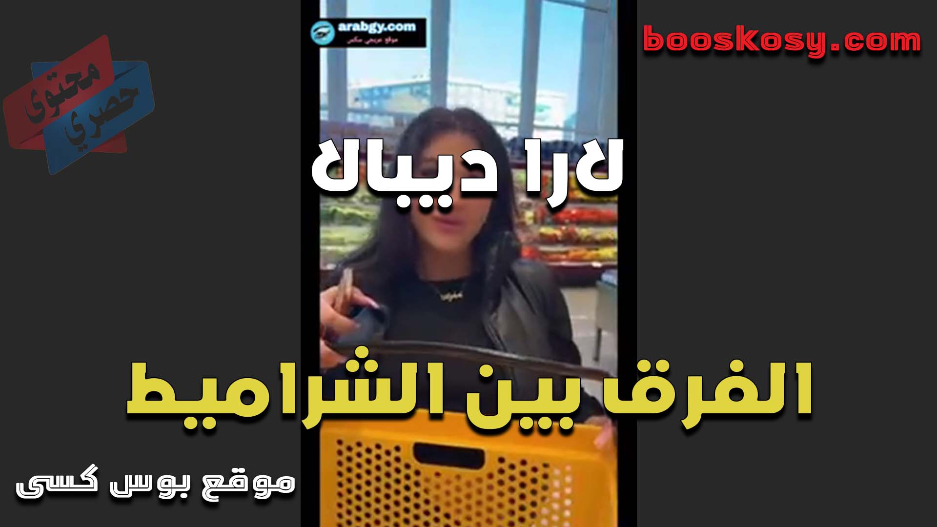 الحيحانه لارا ديبال تشرح الفرق بين الشراميط بتقول كل لبوه وحبها في النيك واحده تحبه من ورا وتتكيف منه ولبوه تاخده من قدام في كسكوسها
